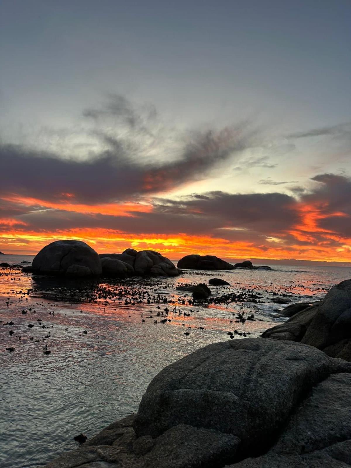 Mettahouse Villa Cape Town Eksteriør bilde